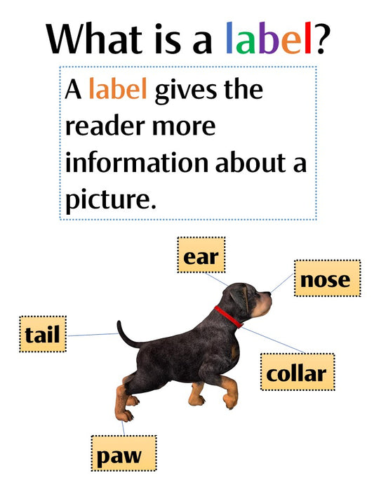 What is a label? reading poster chart informational text nonfiction